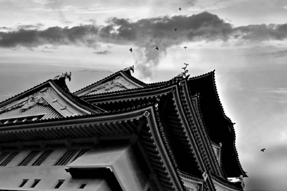 プログラム内容